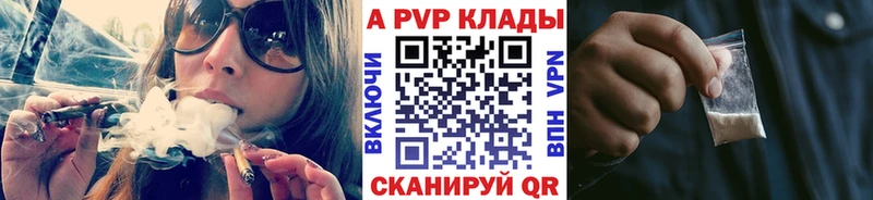 A PVP СК  Борисоглебск 