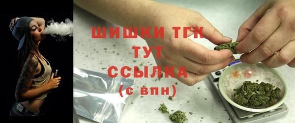 шишки Баксан