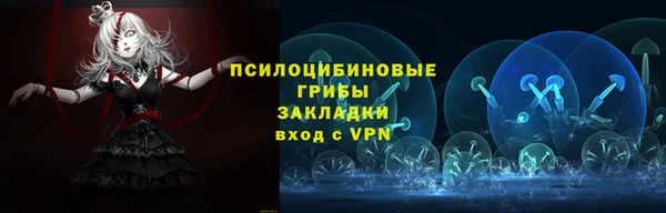 шишки Баксан