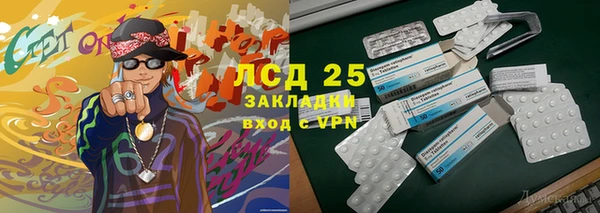 шишки Баксан