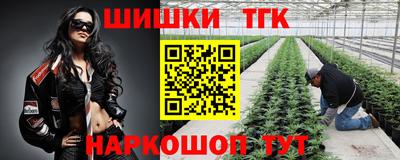 сатива Можга