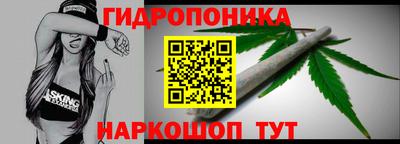 сатива Можга