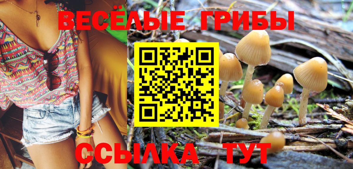 Борисоглебск  Псилоцибиновые грибы прущие грибы  Вход с VPN 